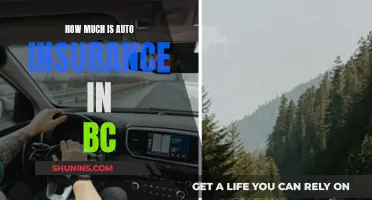 Auto Insurance in BC: What's the Cost?