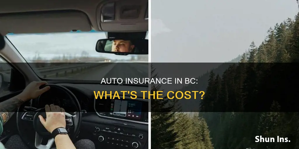 how much is auto insurance in bc