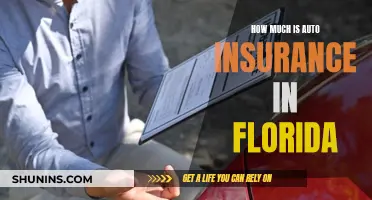 Florida Auto Insurance: How Much?