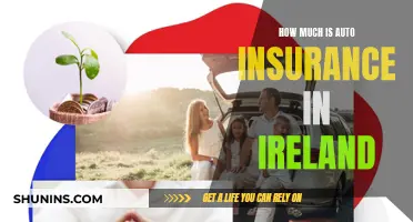 Auto Insurance in Ireland: What's the Cost?