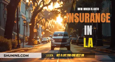 Auto Insurance Costs in LA: What to Expect