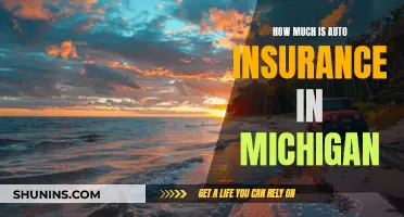 Auto Insurance in Michigan: How Much?