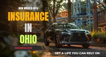 Auto Insurance in Ohio: What's the Cost?