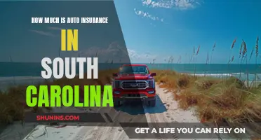 Auto Insurance Costs in South Carolina: What to Expect