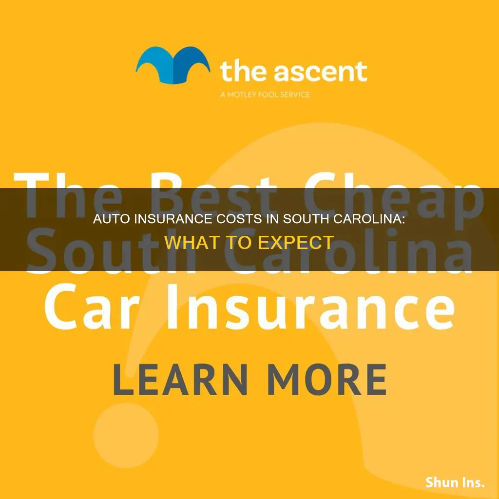 how much is auto insurance in South Carolina