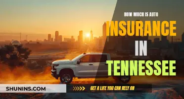 Auto Insurance Costs in Tennessee: What to Expect