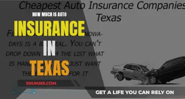 Auto Insurance in Texas: How Much Does It Cost?