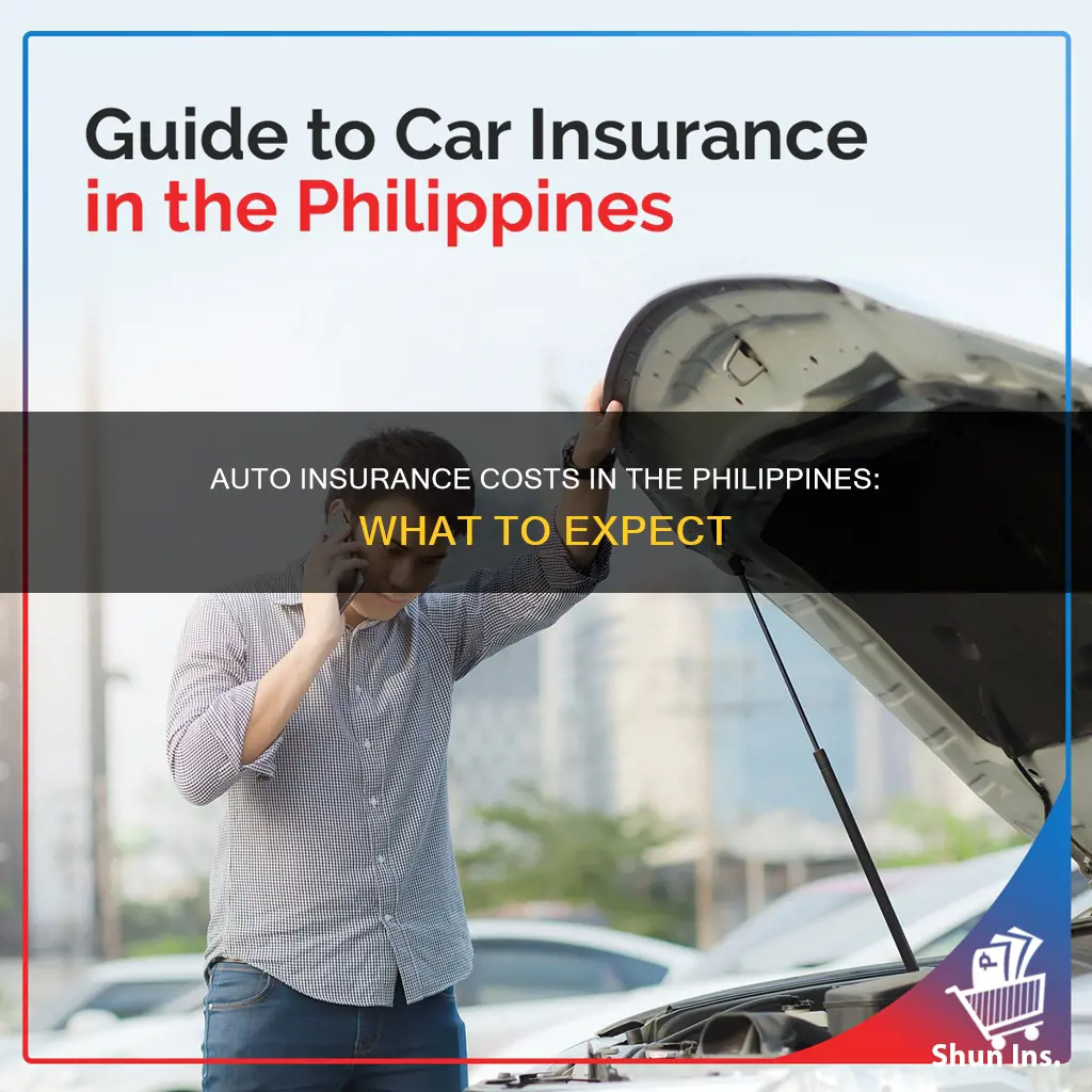 how much is auto insurance in the philippines