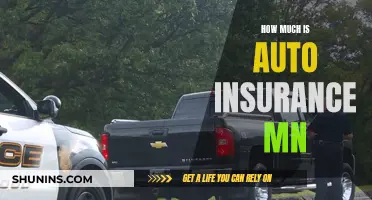 Auto Insurance in Minnesota: How Much Does It Cost?