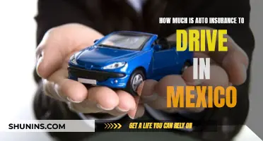 Auto Insurance Costs for Driving in Mexico