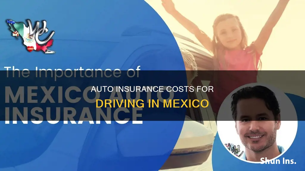 how much is auto insurance to drive in mexico