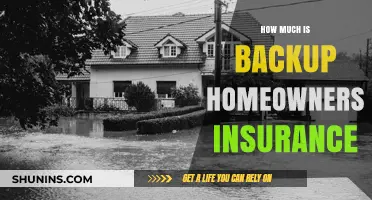 Backup Homeowners Insurance: How Much Do You Need?
