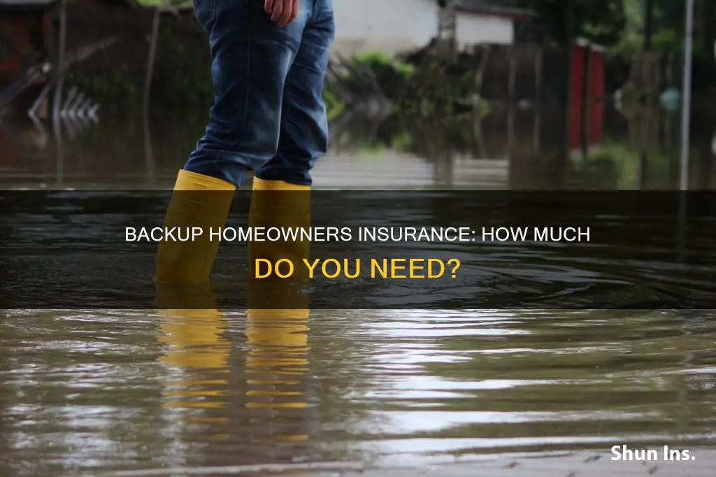 how much is backup homeowners insurance