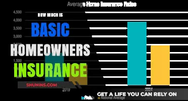 Understanding the Cost of Basic Homeowners Insurance
