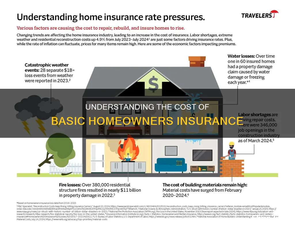 how much is basic homeowners insurance