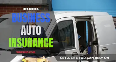 Business Auto Insurance: How Much Coverage Do You Need?