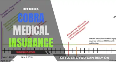 Cobra Medical Insurance: Cost Breakdown and Coverage Insights