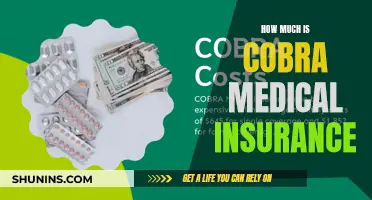 Understanding Cobra Medical Insurance Costs and Coverage