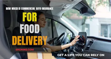 Food Delivery Auto Insurance: Cost and Coverage