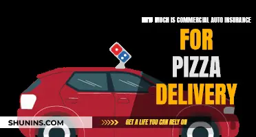 Pizza Delivery Auto Insurance: What's the Cost?