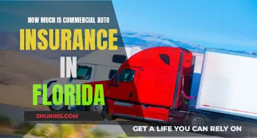 Florida Commercial Auto Insurance: Cost and Coverage