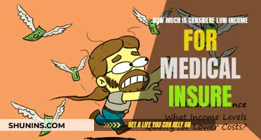 Understanding Medical Insurance Eligibility for Low-Income Earners
