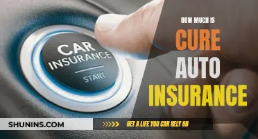 Cure Auto Insurance: How Much Does It Cost?