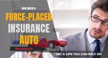 The High Cost of Force-Placed Insurance Auto