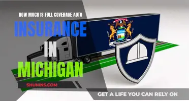 Full Auto Insurance Coverage in Michigan: What's the Cost?