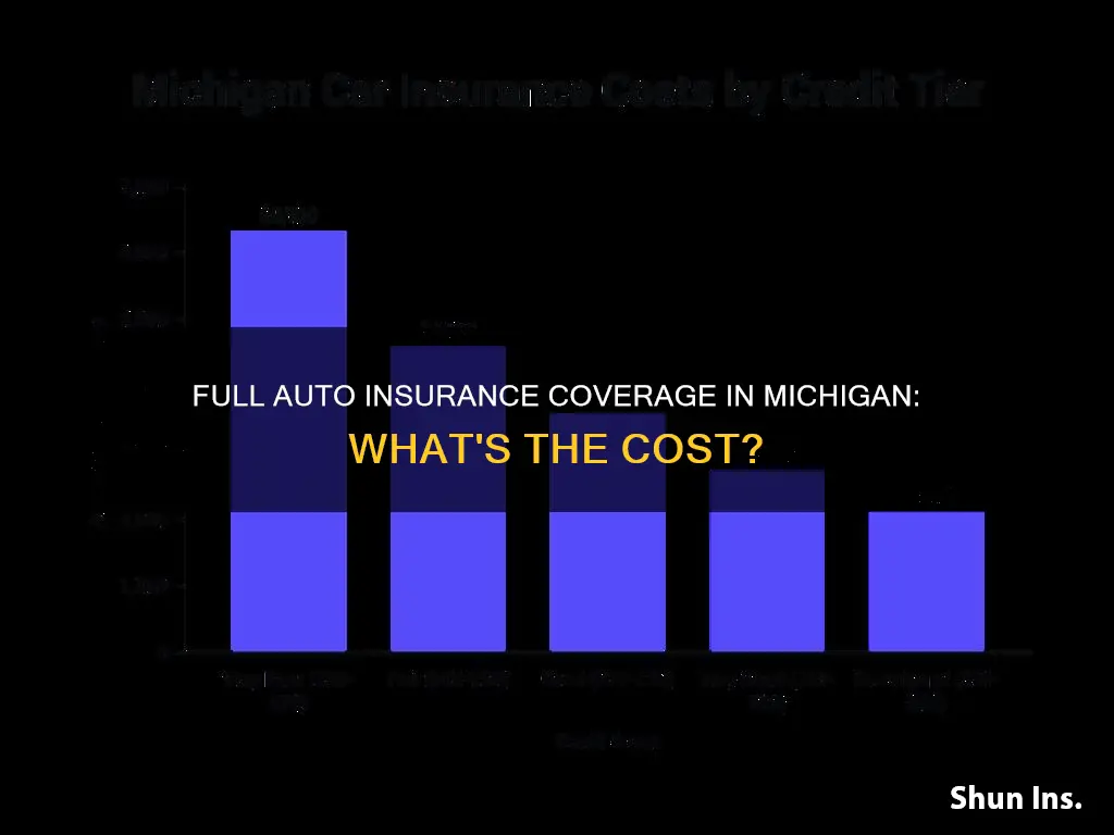 how much is full coverage auto insurance in Michigan