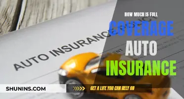 Full Coverage Auto Insurance: How Much?