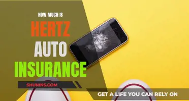 Auto Insurance: Hertz's Cost and Coverage Options