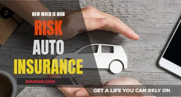 High-Risk Auto Insurance: How Much Does It Cost?