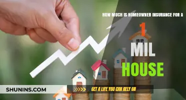 Homeowner Insurance: Million-Dollar House, Thousand-Dollar Coverage?