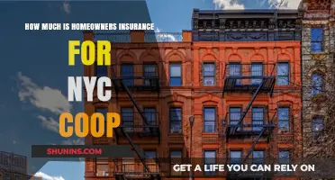 Coop Homeowners Insurance in NYC: What's the Cost?