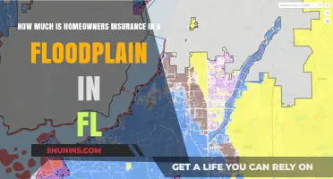Homeowners Insurance in Florida Floodplains: What's the Cost?