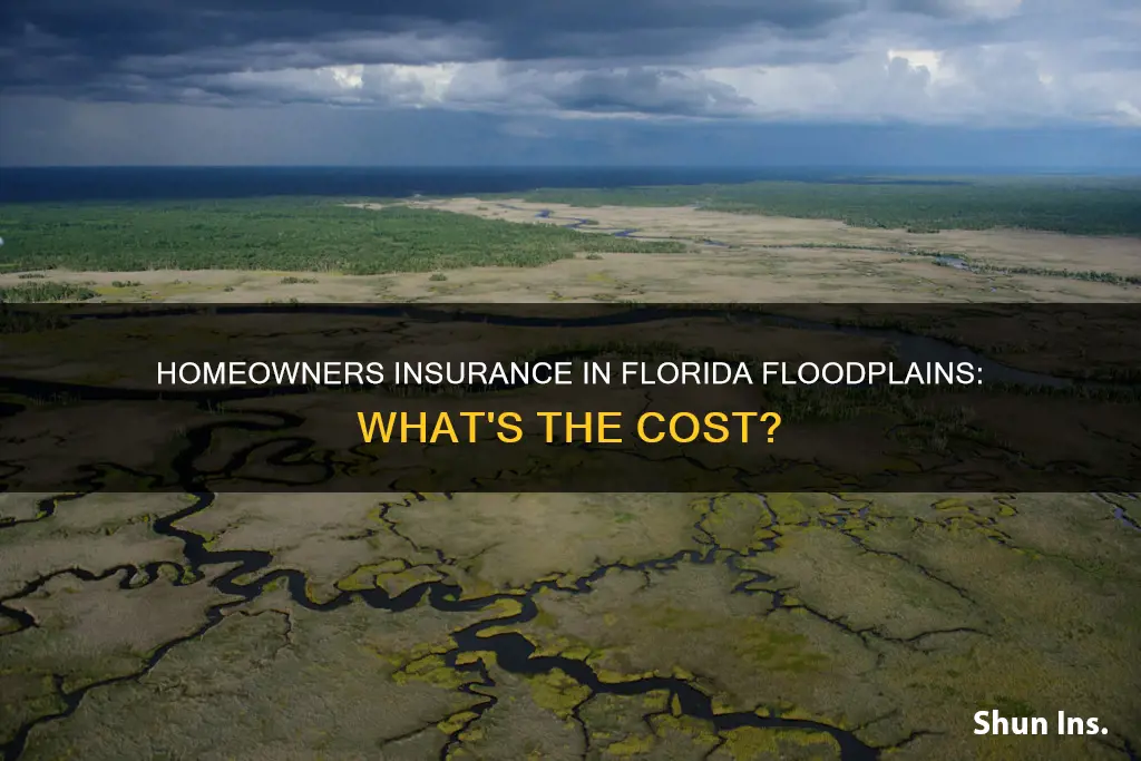 how much is homeowners insurance in a floodplain in fl