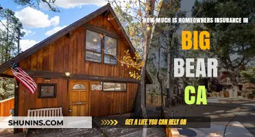 Home Insurance in Big Bear, CA: What's the Cost?