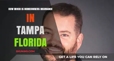 Home Insurance in Tampa: What's the Cost?