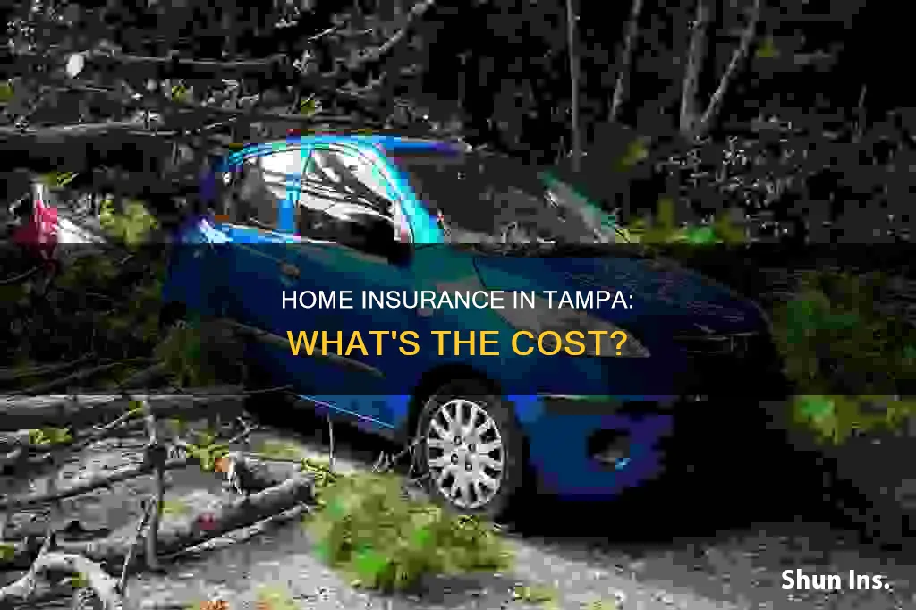 how much is homeowners insurance in tampa florida