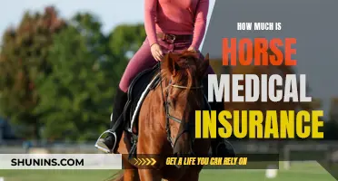 Horse Medical Insurance: Understanding the Cost and Coverage