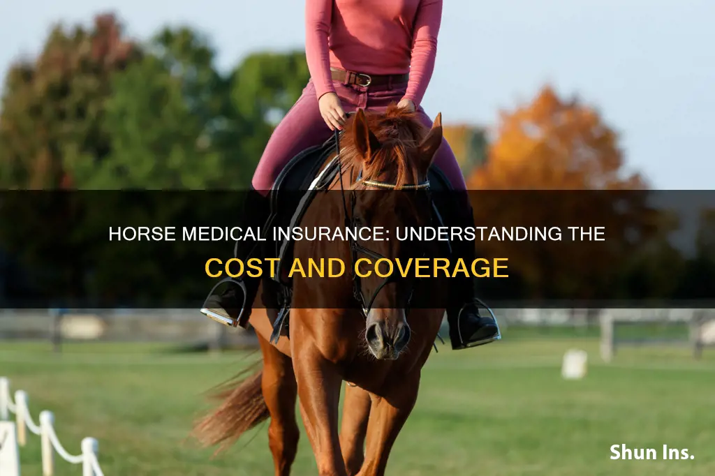 how much is horse medical insurance