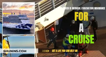 Cruise Medical Evacuation Insurance: What's the Cost?