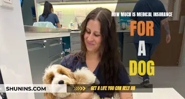 Dog Medical Insurance: Understanding the True Cost of Coverage
