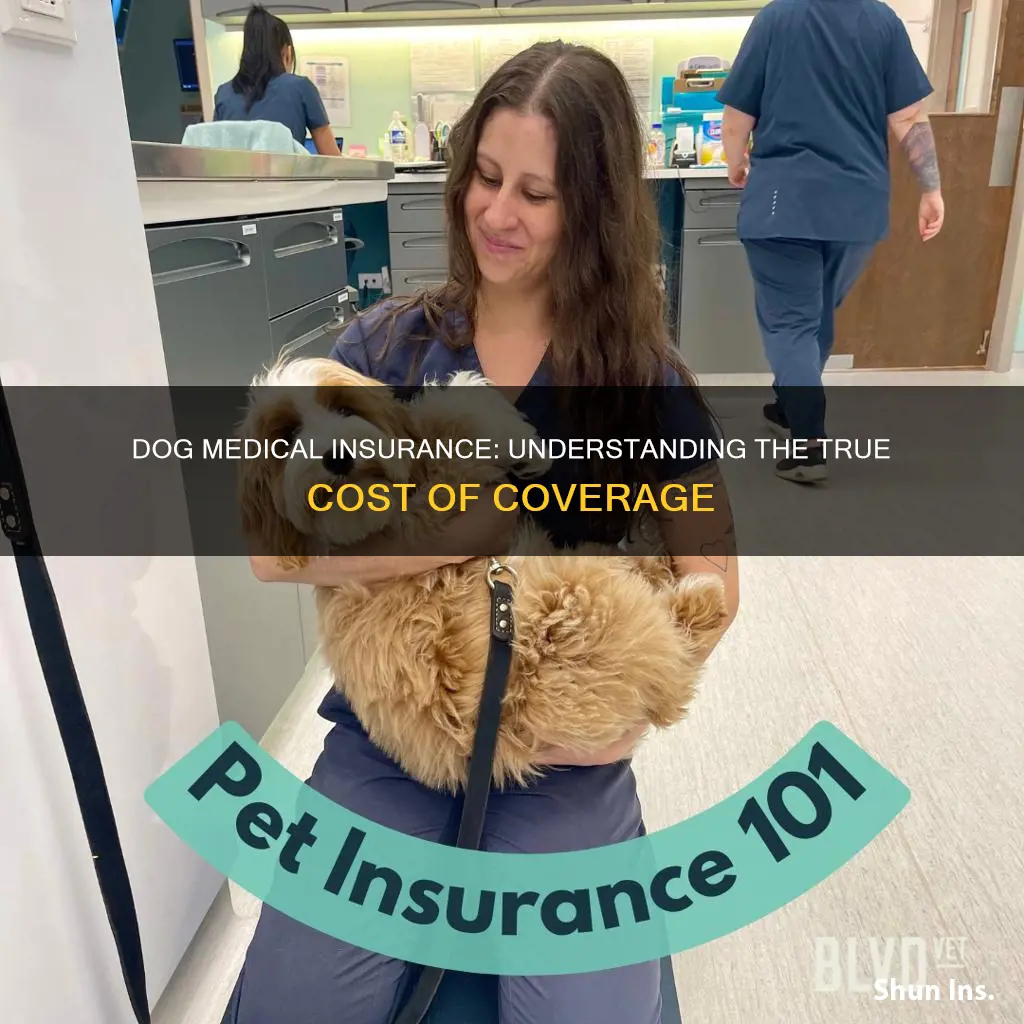 how much is medical insurance for a dog