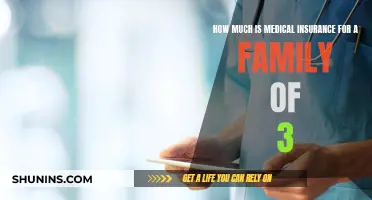 Affordable Family Medical Insurance: Cost for a Trio