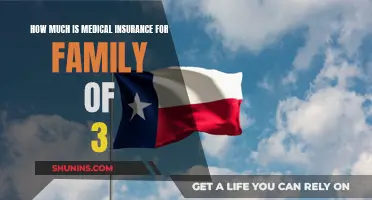 Affordable Family Medical Insurance: Cost for a Trio
