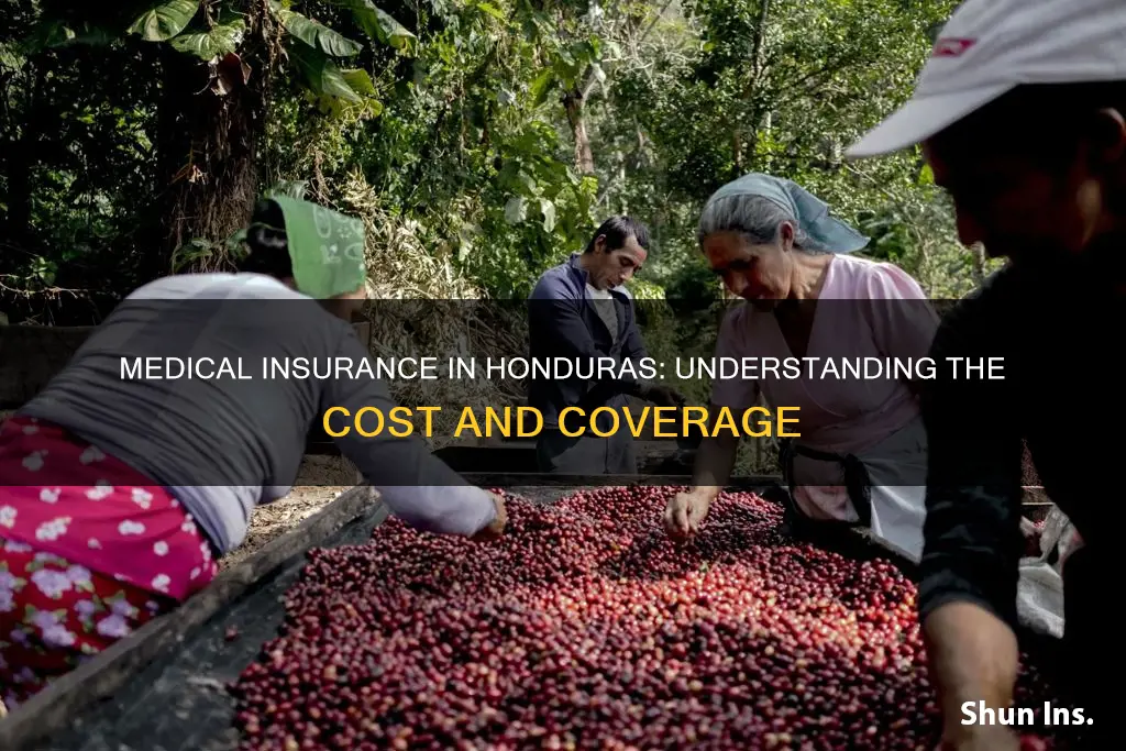 how much is medical insurance in honduras