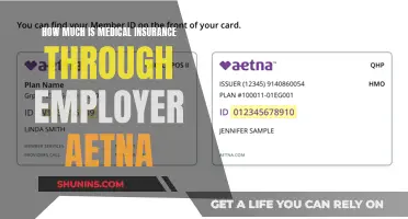 Aetna Medical Insurance: Employer-Provided Coverage Explained