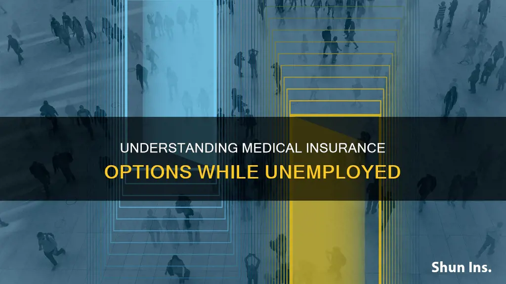how much is medical insurance without a job